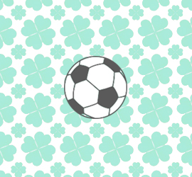 area calcio prenota ora